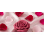 Rose Toy Guide: How They Work & How to Use One Rose Toy Guide: How They Work & How to Use One