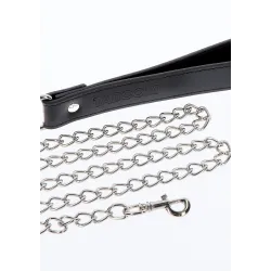 Chain Leash