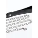Chain Leash
