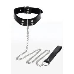 Elegant D-Ring Collar and Chain Leash