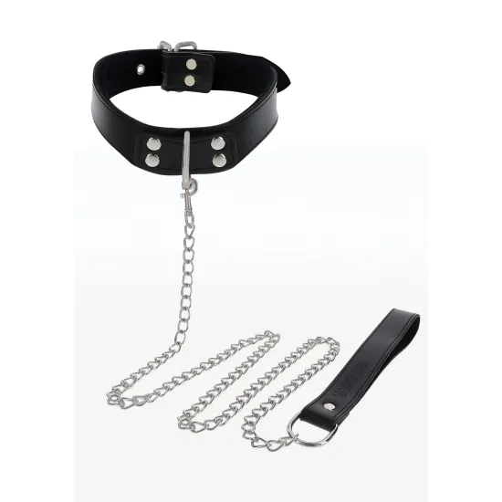 Elegant D-Ring Collar and Chain Leash