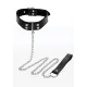 Elegant D-Ring Collar and Chain Leash