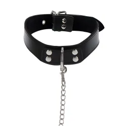 Elegant D-Ring Collar and Chain Leash