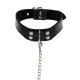 Elegant D-Ring Collar and Chain Leash