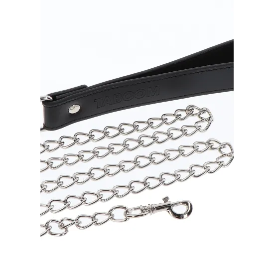 Elegant D-Ring Collar and Chain Leash