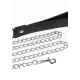 Elegant D-Ring Collar and Chain Leash