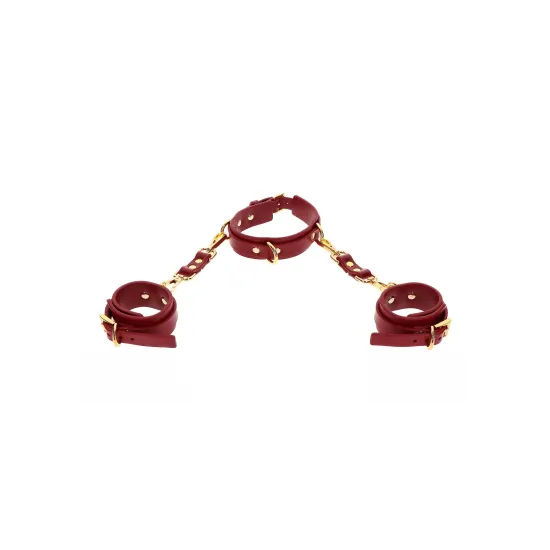 D-Ring Collar and Wrist Cuffs