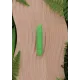 Bio Bullet
